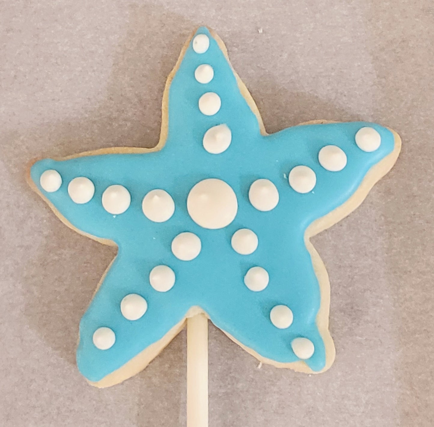 Under the Sea Themed Cookie Bouquet | cookie gift bouquets winnipeg | cookie store in winnipeg | cookies online canada | online cookie shop in Winnipeg | cookie delivery winnipeg | best cookies winnipeg | Octopus shaped cookie
