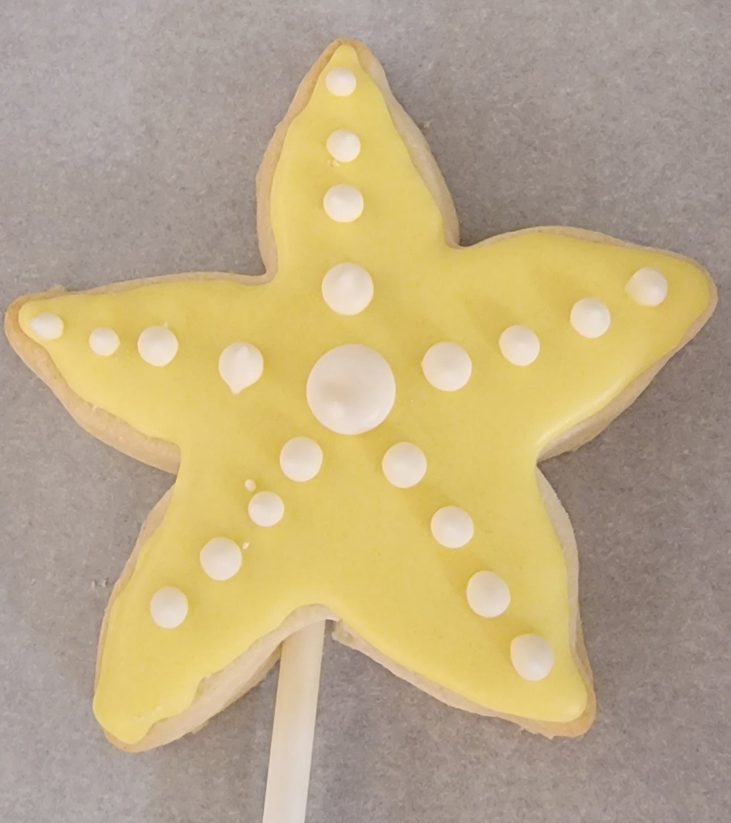 Under the Sea Themed Cookie Bouquet | cookie gift bouquets winnipeg | cookie store in winnipeg | cookies online canada | online cookie shop in Winnipeg | cookie delivery winnipeg | best cookies winnipeg | Octopus shaped cookie Winnipeg