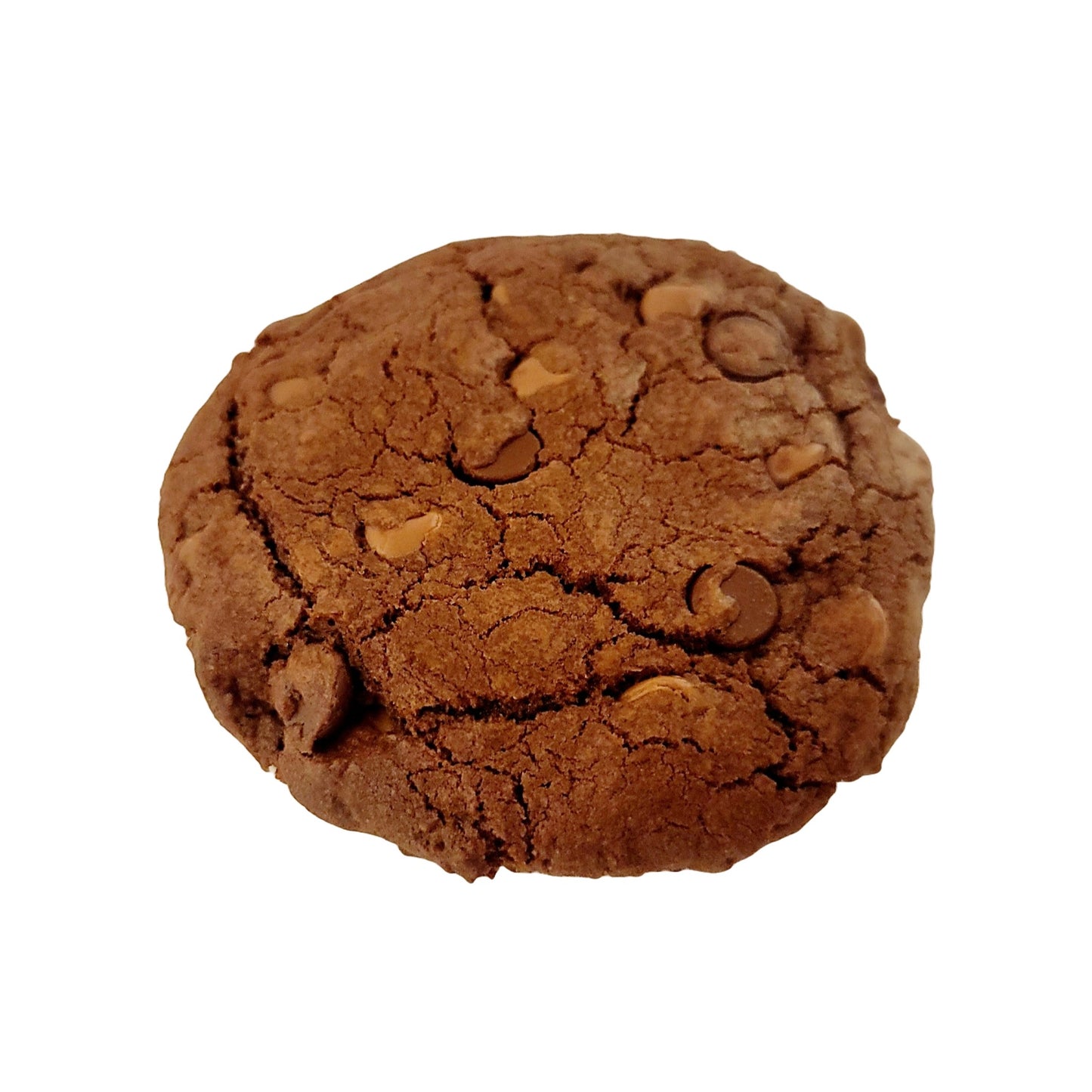 Bakery Cookie