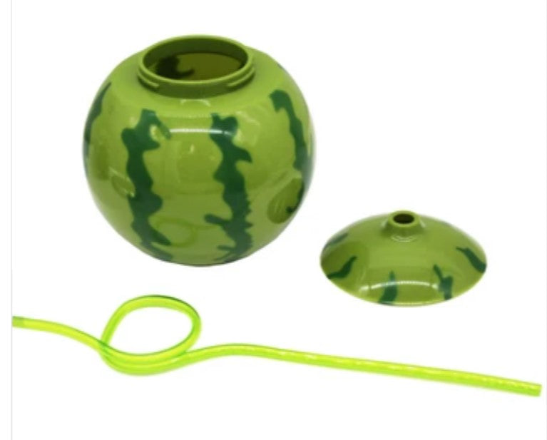 Watermelon Party Tumbler Cup with Curl Straw