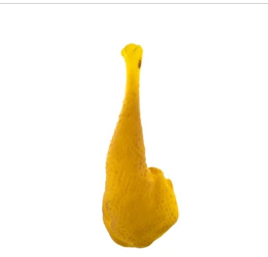 Meat Lovers Squeaking Dog Toy